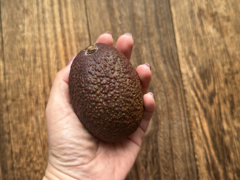 【アボカドの選び方】もう切ってガッカリしない！野菜のプロが教える「失敗しない」目利きテクニック