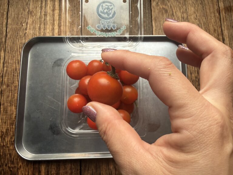そのまま使わないで！ミニトマトをお弁当に入れるときに注意したいたった一つのこととは