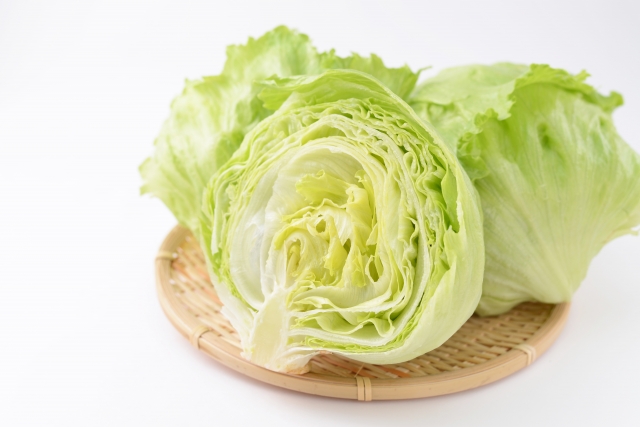 【野菜の食べきり図鑑】レタスや夏野菜の長持ち保存法＆賢い冷凍術