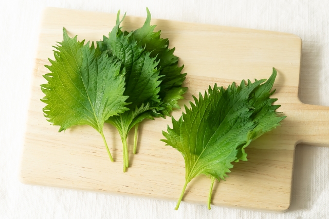 傷みやすい香味野菜や果物も！おいしさ長持ちの意外な冷凍保存術