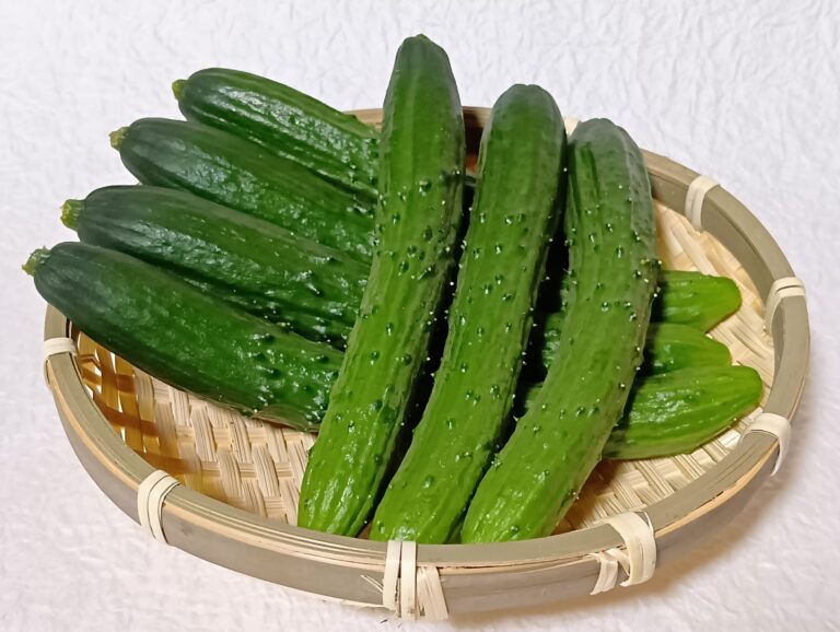 きゅうりが余ったらこれ！火を使わずすぐ作れる簡単ポリポリ副菜3選