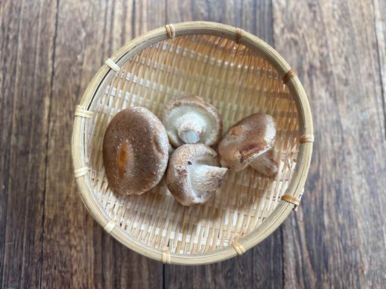 捨てるのはもったいない！？野菜のプロが教える「椎茸の軸が激ウマになるマル秘テク」